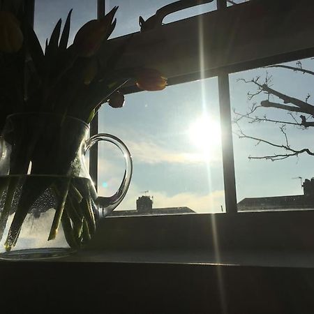 Brighton Boutique Garden Studio With Free Parking Kültér fotó